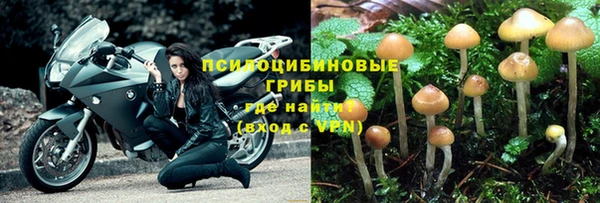 кокс Пересвет