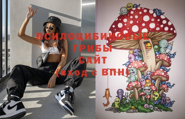 кокс Пересвет