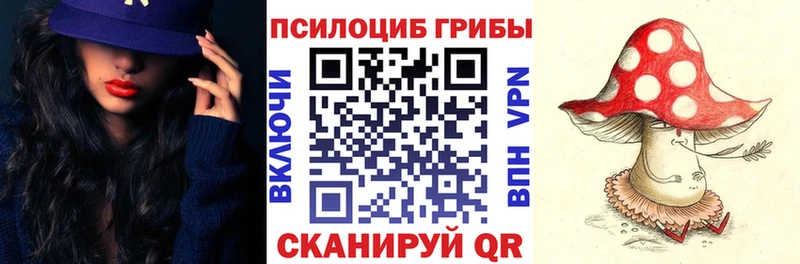 Купить  Судак  Галлюциногенные грибы мухоморы 